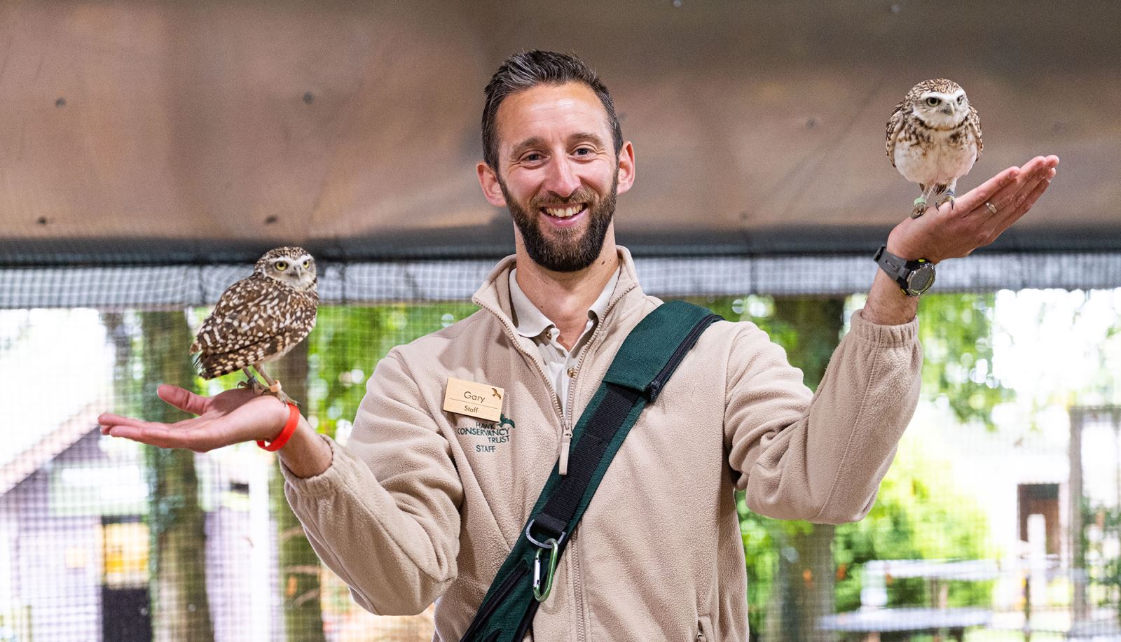 Meet the Burrowing Owls